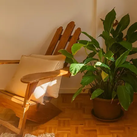 Apartment Vintage 2-bed With Music Fundao