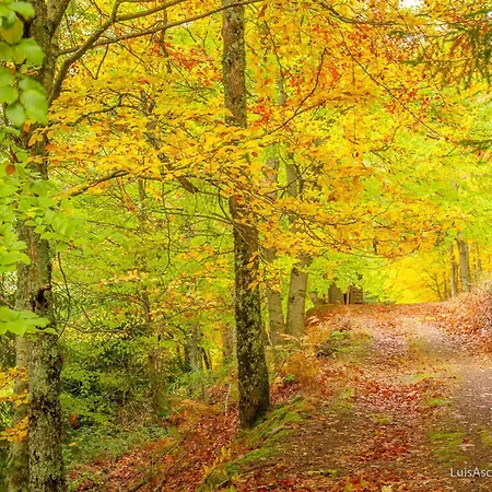 Vintage 2-bed With Music