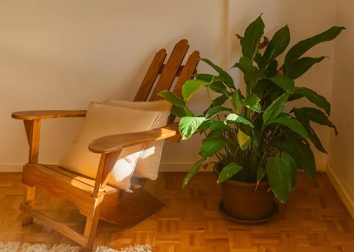 Apartamento Vintage 2-bed With Music Fundão