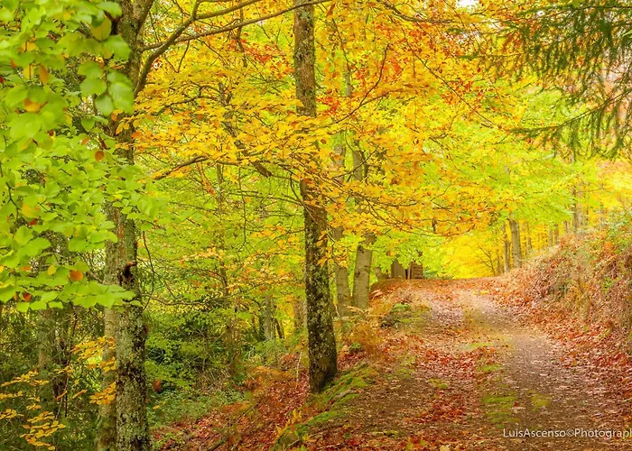 Vintage 2-bed With Music